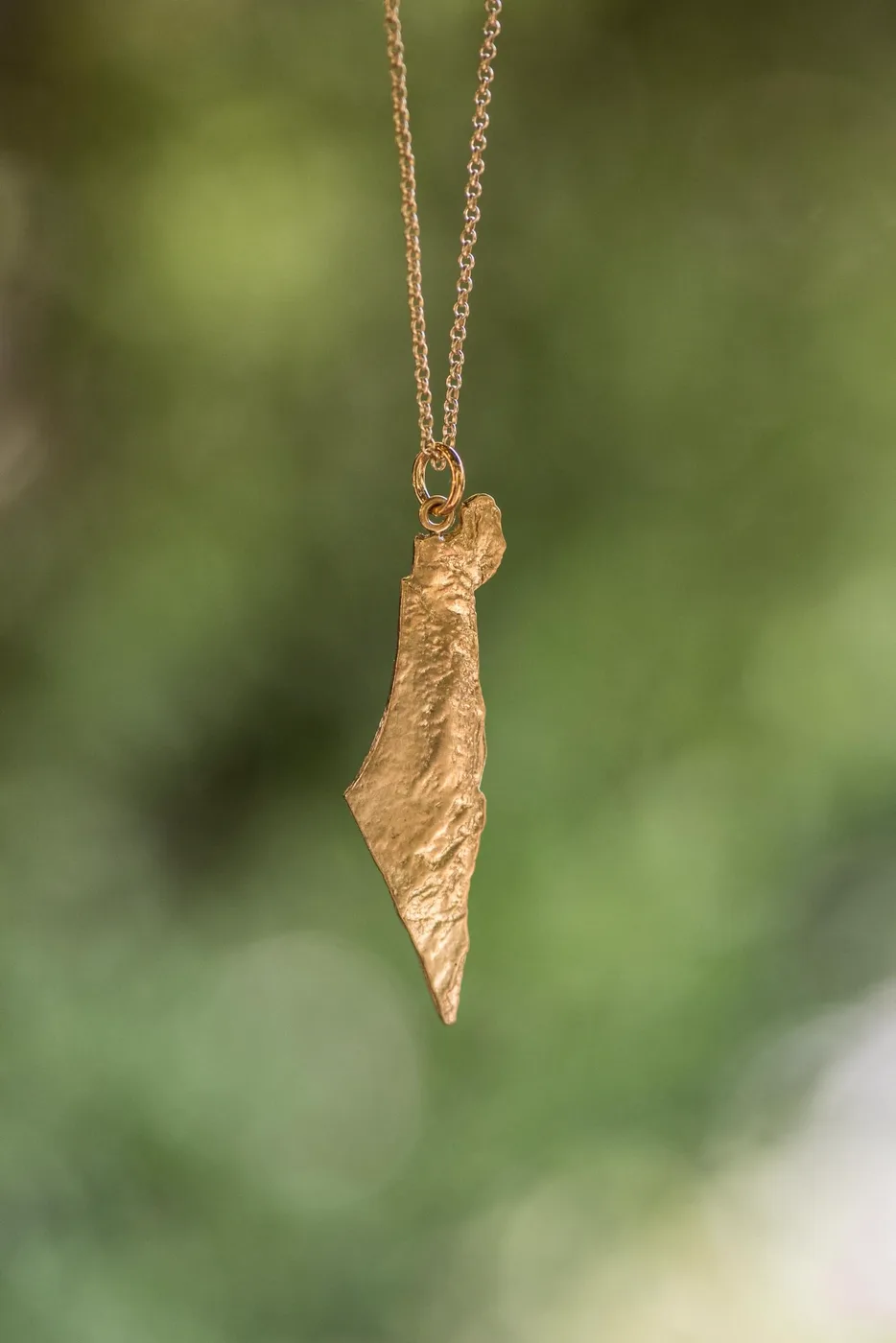 Topographic map of Israel pendant shown in gold, hanging on a fine chain