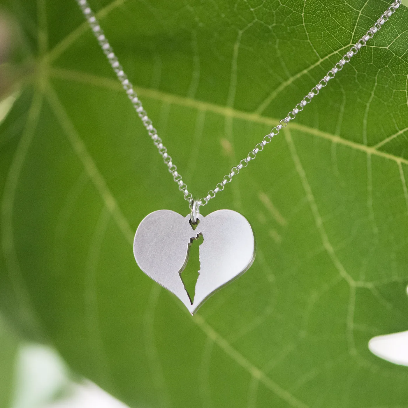 Israel in my heart map necklace